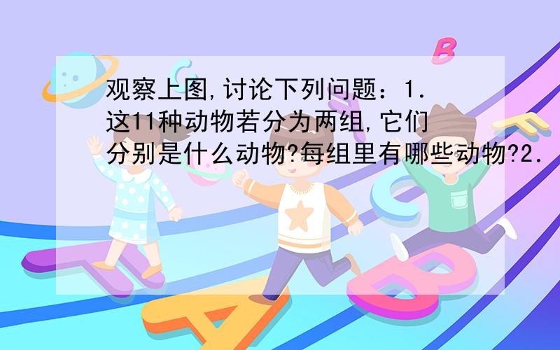 观察上图,讨论下列问题：1．这11种动物若分为两组,它们分别是什么动物?每组里有哪些动物?2．将每组中的动物再进行分类,可以分为哪几类?每类有哪些动物?3．你能尝试仿照植物分类的表解