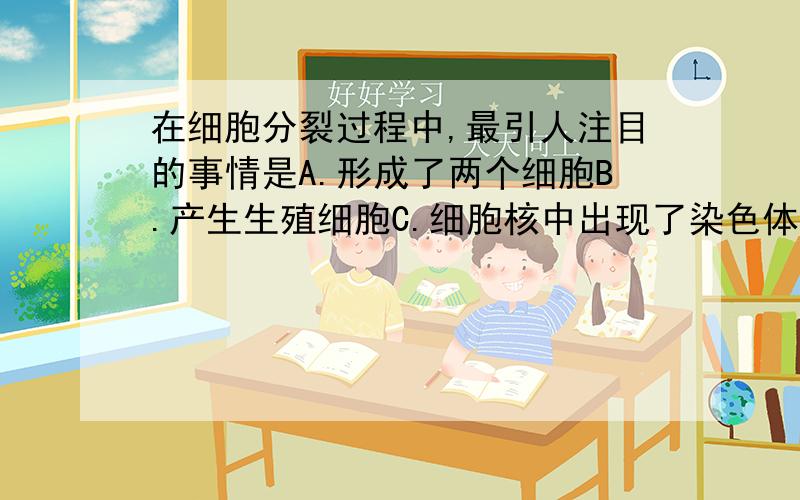 在细胞分裂过程中,最引人注目的事情是A.形成了两个细胞B.产生生殖细胞C.细胞核中出现了染色体D.染色体平均分配到两个子细胞中