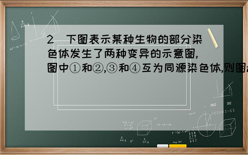 2．下图表示某种生物的部分染色体发生了两种变异的示意图,图中①和②,③和④互为同源染色体,则图a、图b所示的变异A.均为染色体结构变异B.基因的数目和排列顺序均发生改变C.均使生物的