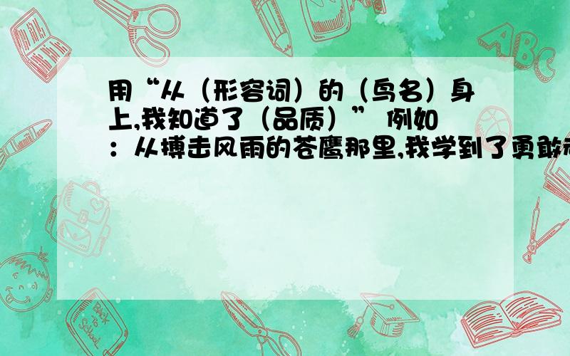 用“从（形容词）的（鸟名）身上,我知道了（品质）” 例如：从搏击风雨的苍鹰那里,我学到了勇敢顽强的精