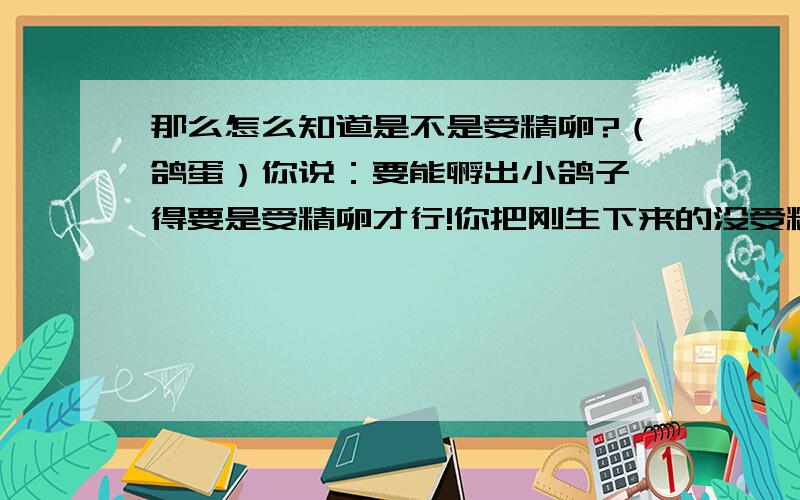 那么怎么知道是不是受精卵?（鸽蛋）你说：要能孵出小鸽子,得要是受精卵才行!你把刚生下来的没受精的蛋,放回去又怎么能孵呢!现在不是它会不会孵,而是要让蛋受精!当然放心,鸽子还不是