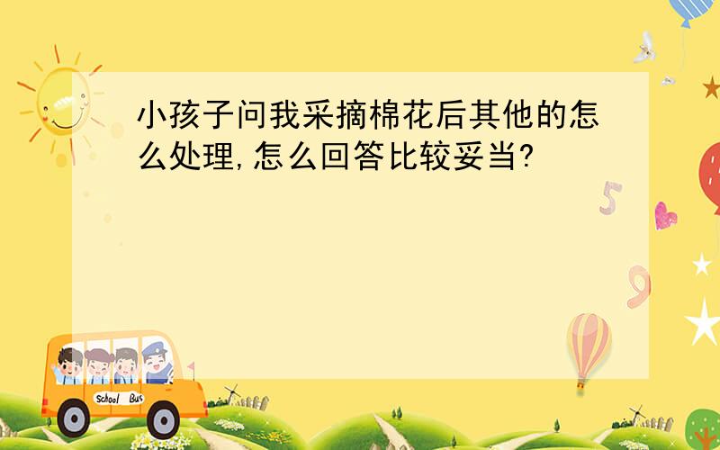 小孩子问我采摘棉花后其他的怎么处理,怎么回答比较妥当?