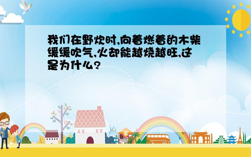 我们在野炊时,向着燃着的木柴缓缓吹气,火却能越烧越旺,这是为什么?