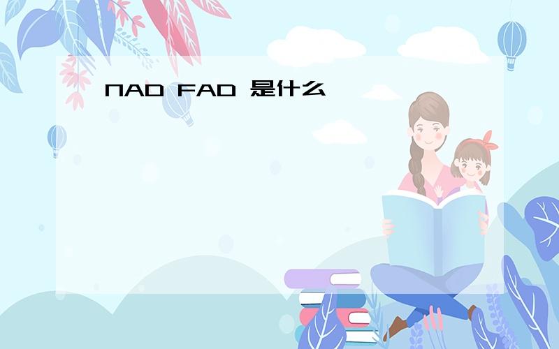 NAD FAD 是什么