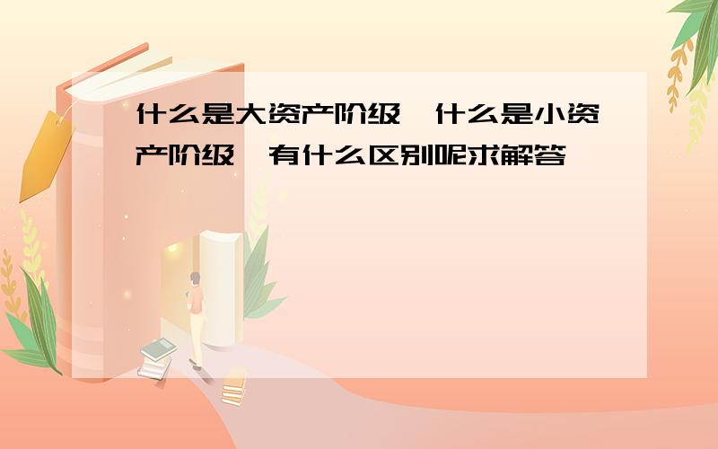 什么是大资产阶级,什么是小资产阶级,有什么区别呢求解答