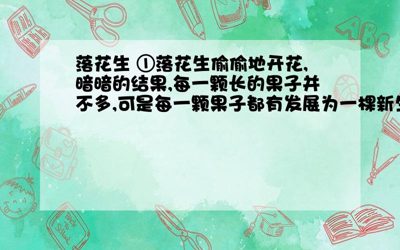 落花生 ①落花生偷偷地开花,暗暗的结果,每一颗长的果子并不多,可是每一颗果子都有发展为一棵新生命的可能.世界上有些充满野心的植物,像柳树的飞絮,榆树的散钱,莲子,随风飘舞,像是要把