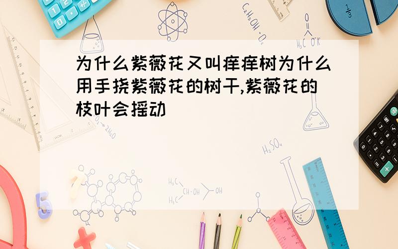 为什么紫薇花又叫痒痒树为什么用手挠紫薇花的树干,紫薇花的枝叶会摇动