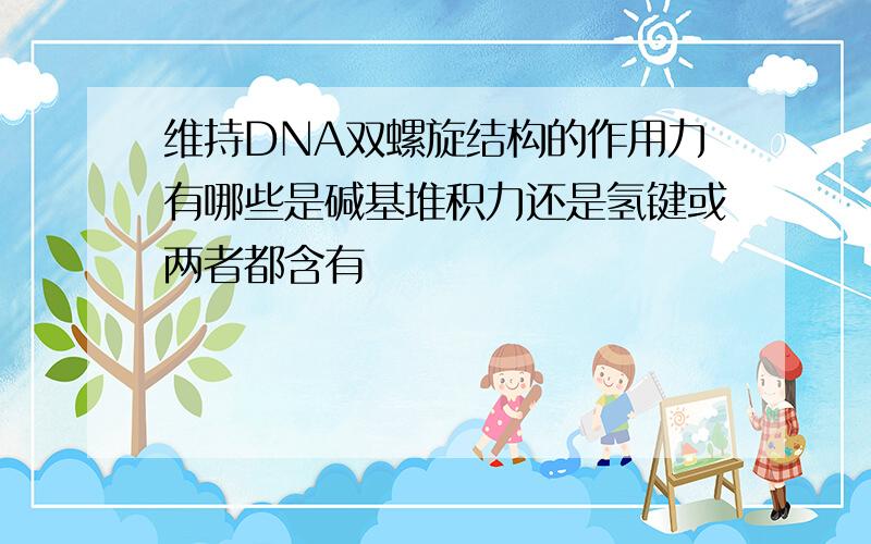 维持DNA双螺旋结构的作用力有哪些是碱基堆积力还是氢键或两者都含有