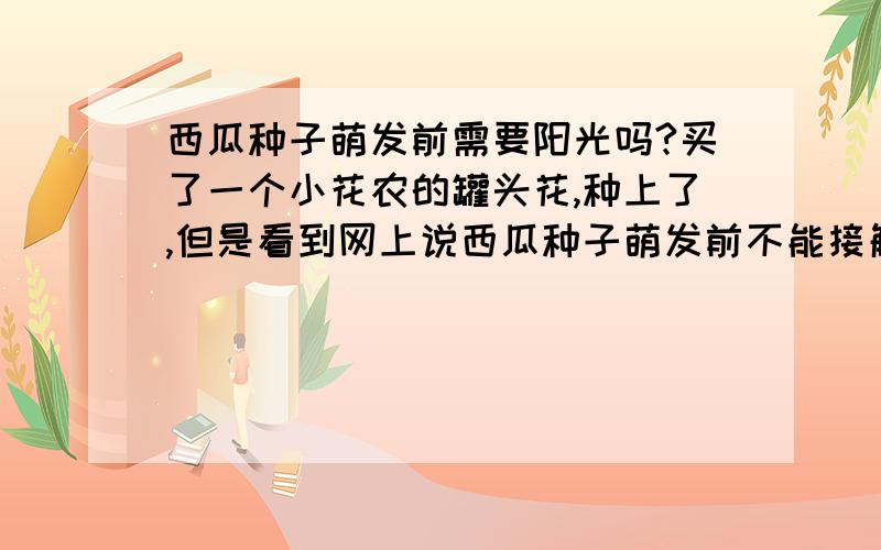 西瓜种子萌发前需要阳光吗?买了一个小花农的罐头花,种上了,但是看到网上说西瓜种子萌发前不能接触阳光,否则还会抑制它的生长!以前我们家是一楼,阳台打开窗户一翻就可以跳到地下,有天