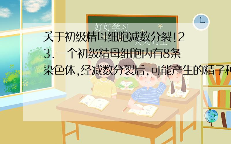 关于初级精母细胞减数分裂!23.一个初级精母细胞内有8条染色体,经减数分裂后,可能产生的精子种类和实际产生的精子种类分别是( )A.16种,2种 B.32种,4种 C.8种,4种 D.16种,8种