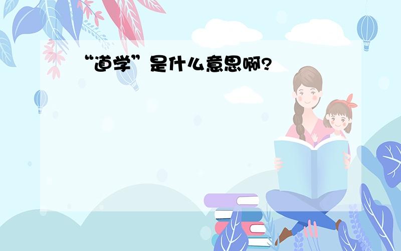 “道学”是什么意思啊?