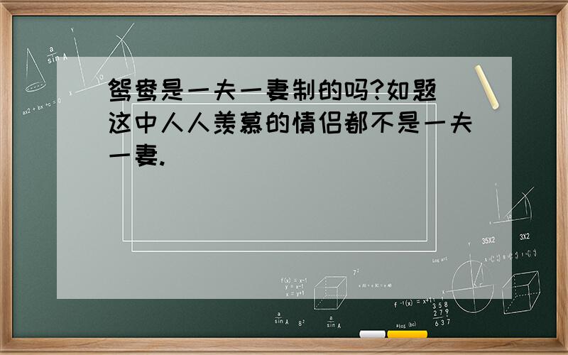 鸳鸯是一夫一妻制的吗?如题 这中人人羡慕的情侣都不是一夫一妻.