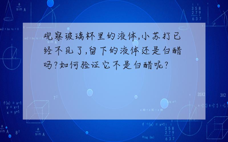 观察玻璃杯里的液体,小苏打已经不见了,留下的液体还是白醋吗?如何验证它不是白醋呢?