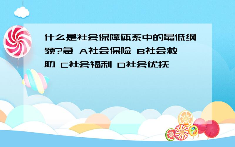 什么是社会保障体系中的最低纲领?急 A社会保险 B社会救助 C社会福利 D社会优抚