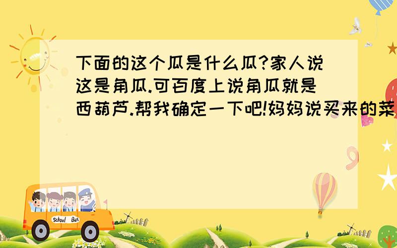 下面的这个瓜是什么瓜?家人说这是角瓜.可百度上说角瓜就是西葫芦.帮我确定一下吧!妈妈说买来的菜籽包装带上写的就是角瓜,可它比普通的西葫芦大多了,这个瓜有15.5斤.这还是没有熟的,熟