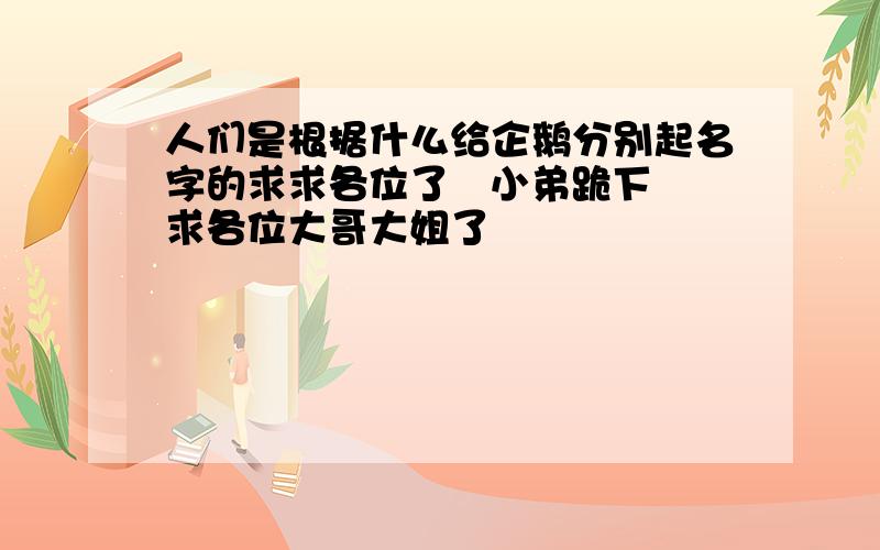 人们是根据什么给企鹅分别起名字的求求各位了   小弟跪下求各位大哥大姐了