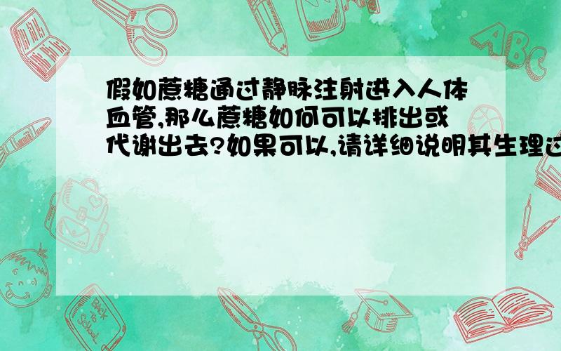 假如蔗糖通过静脉注射进入人体血管,那么蔗糖如何可以排出或代谢出去?如果可以,请详细说明其生理过程.