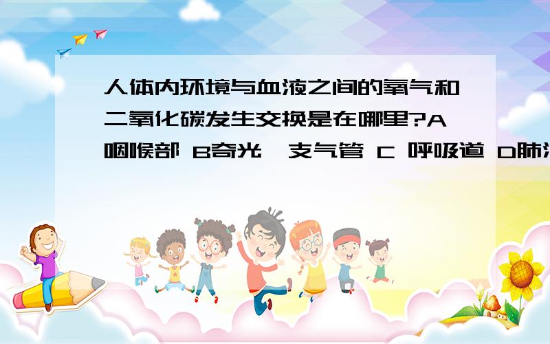 人体内环境与血液之间的氧气和二氧化碳发生交换是在哪里?A咽喉部 B奇光、支气管 C 呼吸道 D肺泡