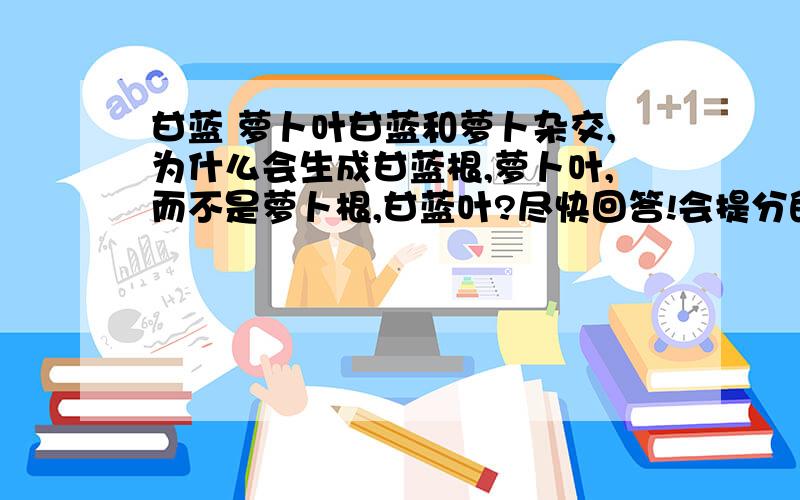 甘蓝 萝卜叶甘蓝和萝卜杂交,为什么会生成甘蓝根,萝卜叶,而不是萝卜根,甘蓝叶?尽快回答!会提分的