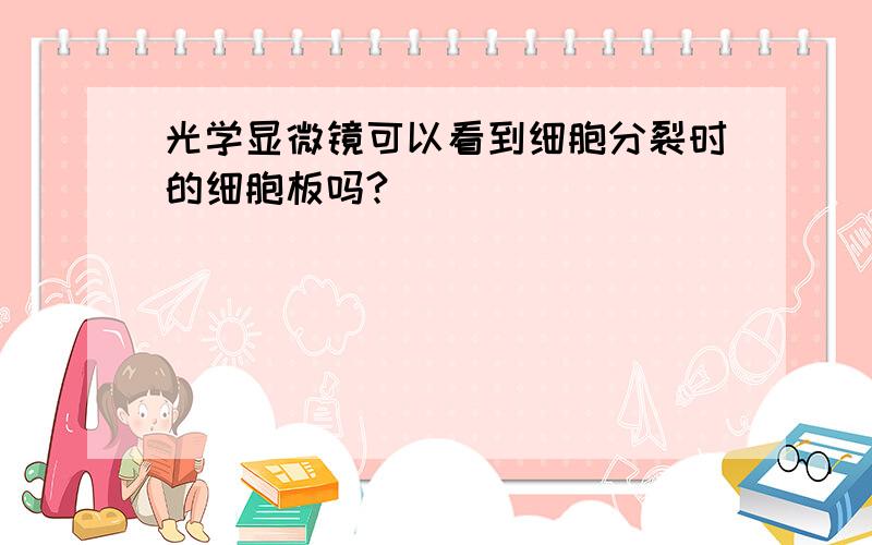 光学显微镜可以看到细胞分裂时的细胞板吗?