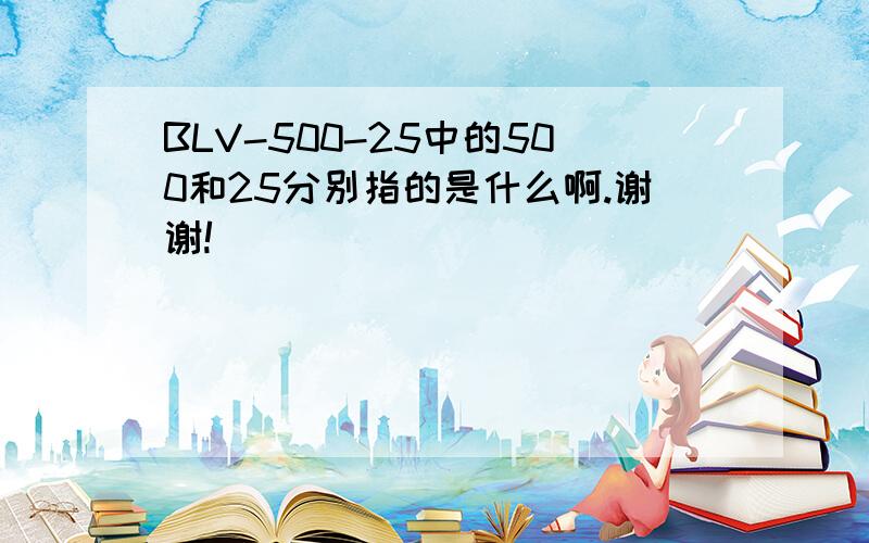 BLV-500-25中的500和25分别指的是什么啊.谢谢!