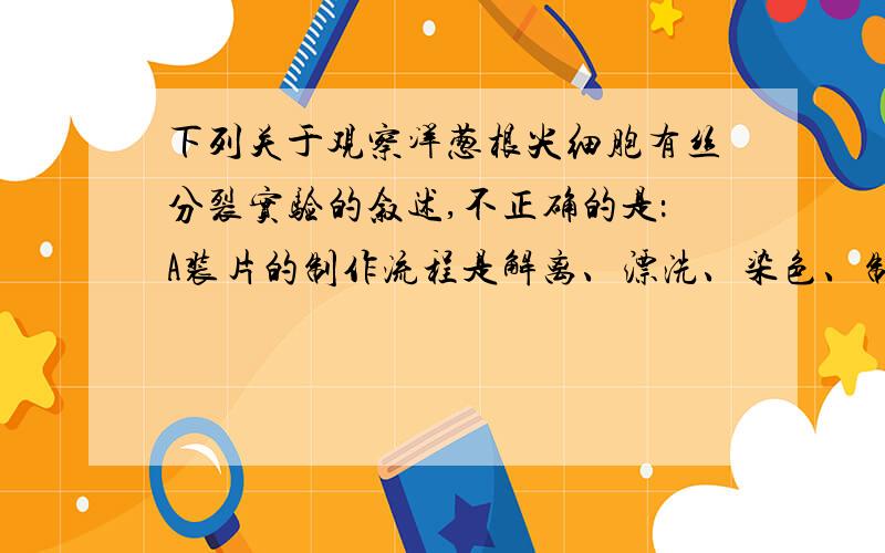 下列关于观察洋葱根尖细胞有丝分裂实验的叙述,不正确的是：A装片的制作流程是解离、漂洗、染色、制片B实验中可以用醋酸洋红液代替龙胆紫溶液对染色体进行染色C若在低倍镜下没找到正