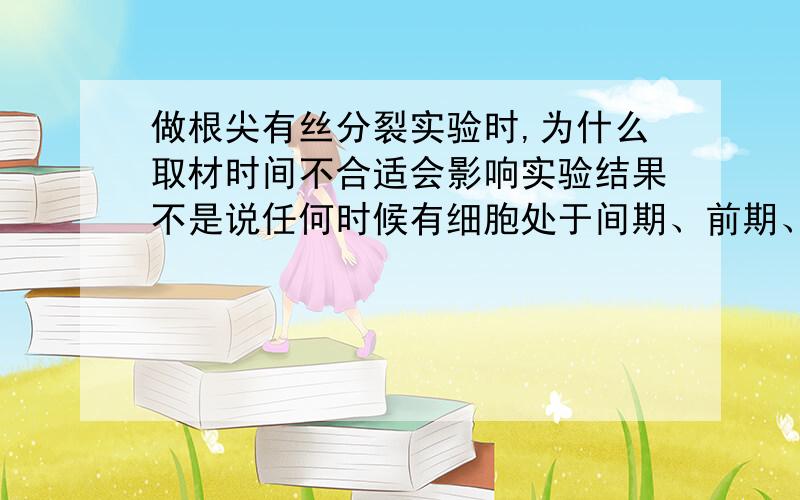 做根尖有丝分裂实验时,为什么取材时间不合适会影响实验结果不是说任何时候有细胞处于间期、前期、中期、后期么?那不为什么还会看不到现象?