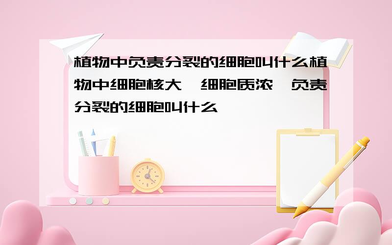 植物中负责分裂的细胞叫什么植物中细胞核大,细胞质浓,负责分裂的细胞叫什么