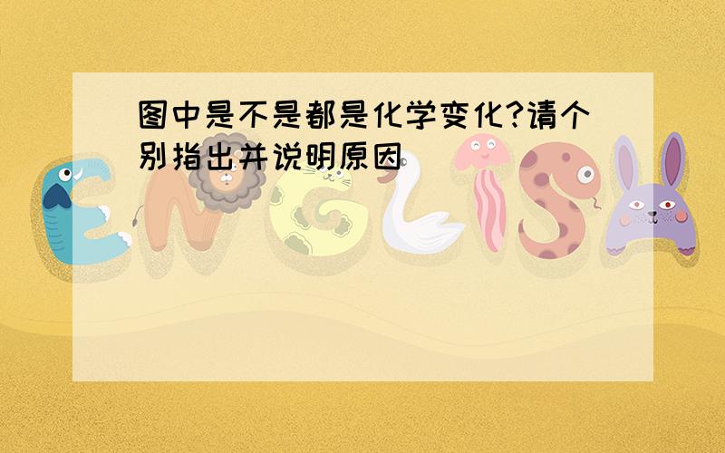 图中是不是都是化学变化?请个别指出并说明原因