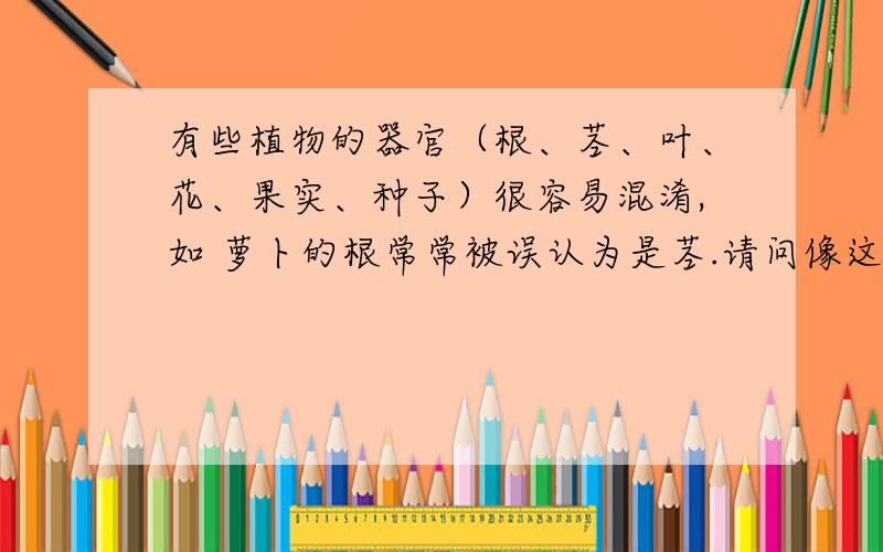 有些植物的器官（根、茎、叶、花、果实、种子）很容易混淆,如 萝卜的根常常被误认为是茎.请问像这样常被请问像这样常被混淆的植物有哪些?事后如果满意的话给10个