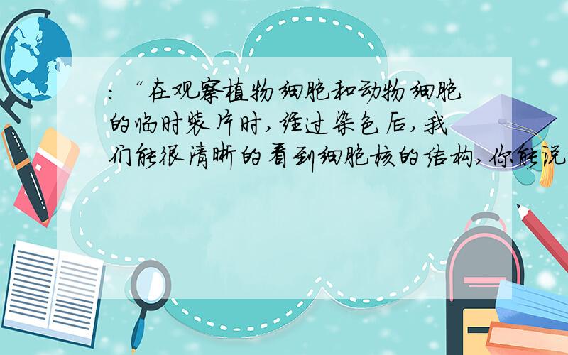 ：“在观察植物细胞和动物细胞的临时装片时,经过染色后,我们能很清晰的看到细胞核的结构,你能说说这是为什么吗?”