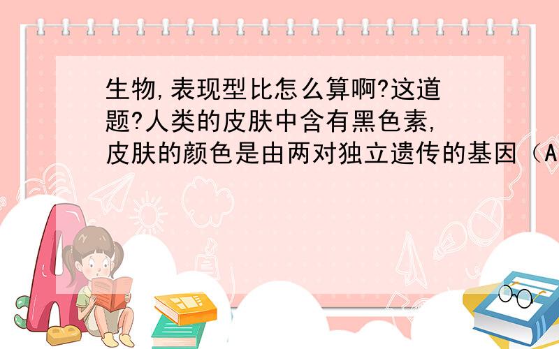 生物,表现型比怎么算啊?这道题?人类的皮肤中含有黑色素,皮肤的颜色是由两对独立遗传的基因（A和a,B和b）所控制；显性基因A和B可以使和 检举|2012-03-23 19:44 提问者： 0米可0521 |浏览次数：13