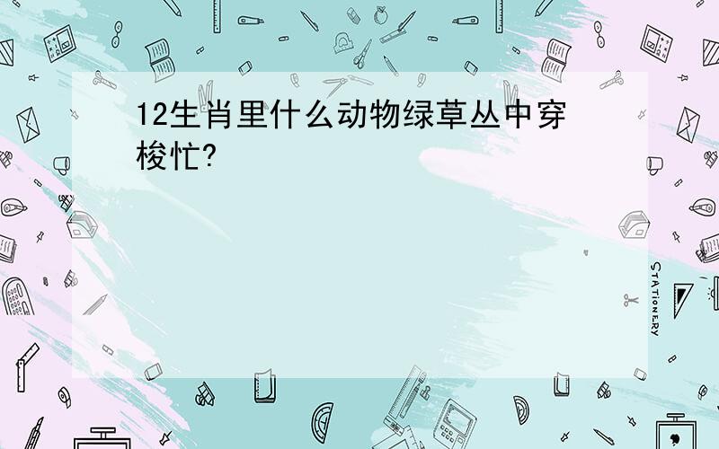 12生肖里什么动物绿草丛中穿梭忙?