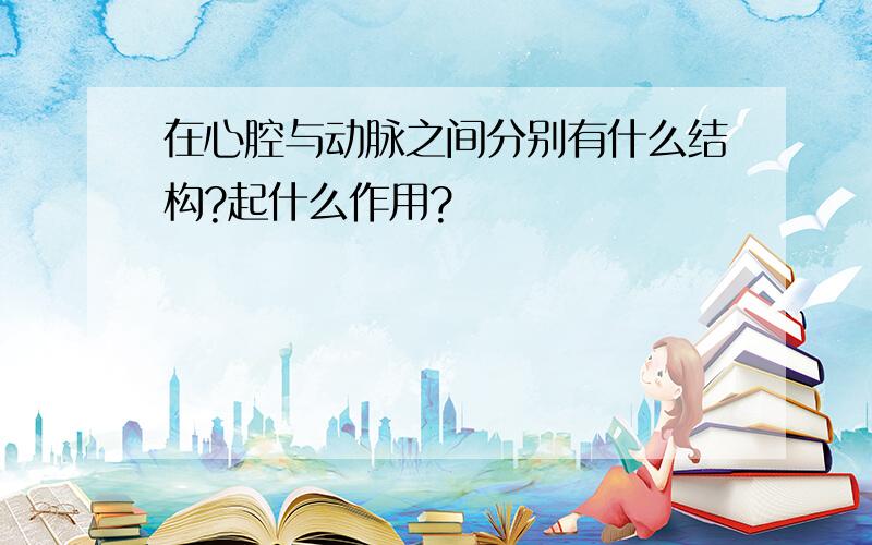 在心腔与动脉之间分别有什么结构?起什么作用?