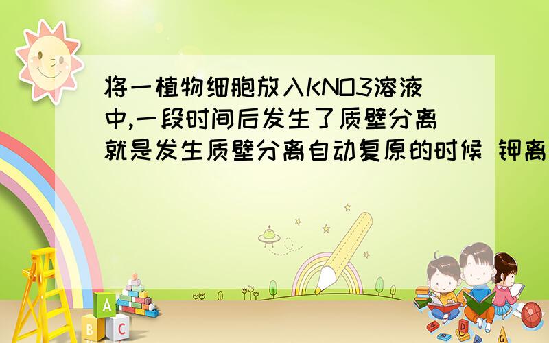 将一植物细胞放入KNO3溶液中,一段时间后发生了质壁分离就是发生质壁分离自动复原的时候 钾离子 硝酸根离子进入细胞的方式是主动运输为什么呢》虽然细胞液中很多水出去了 但我觉得不