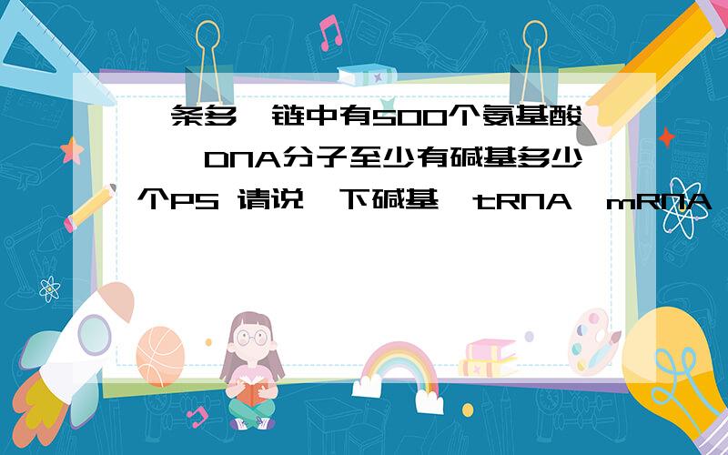 一条多肽链中有500个氨基酸……DNA分子至少有碱基多少个PS 请说一下碱基、tRNA、mRNA、DNA、密码子、氨基酸之间的数量关系