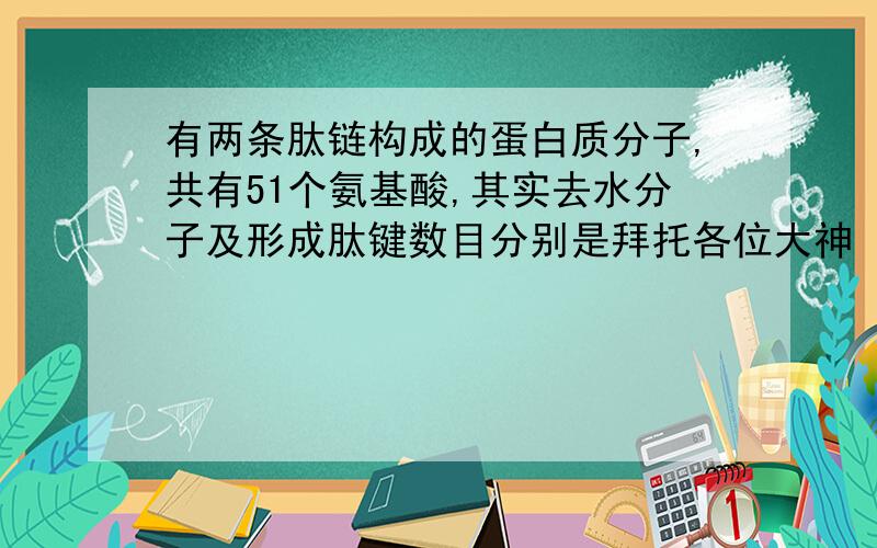 有两条肽链构成的蛋白质分子,共有51个氨基酸,其实去水分子及形成肽键数目分别是拜托各位大神