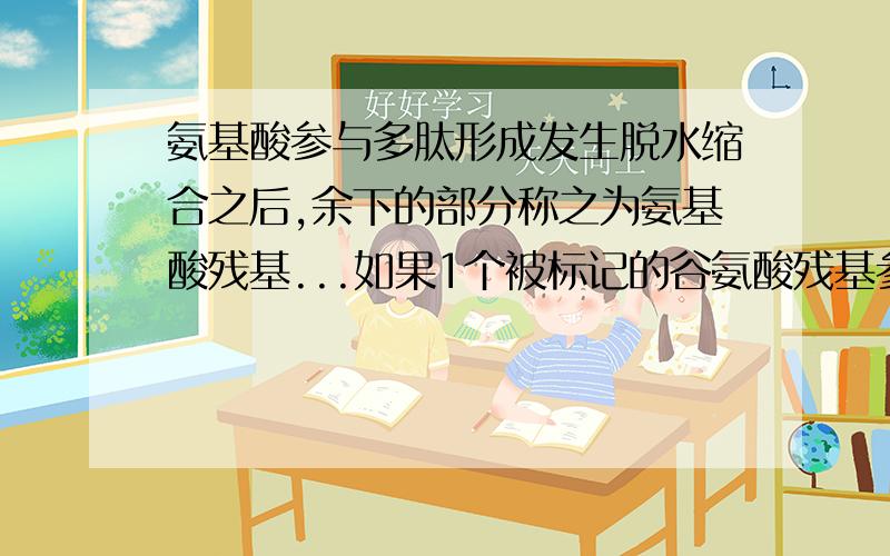 氨基酸参与多肽形成发生脱水缩合之后,余下的部分称之为氨基酸残基...如果1个被标记的谷氨酸残基参与了胰岛素的结构,谷氨酸变成谷氨酸残基后,到形成胰岛素进入血液,这一过程中谷氨酸