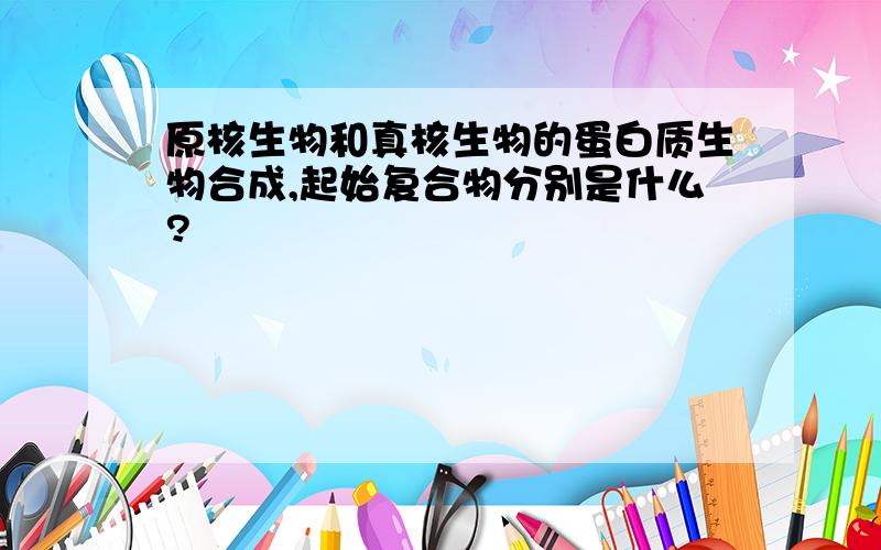 原核生物和真核生物的蛋白质生物合成,起始复合物分别是什么?