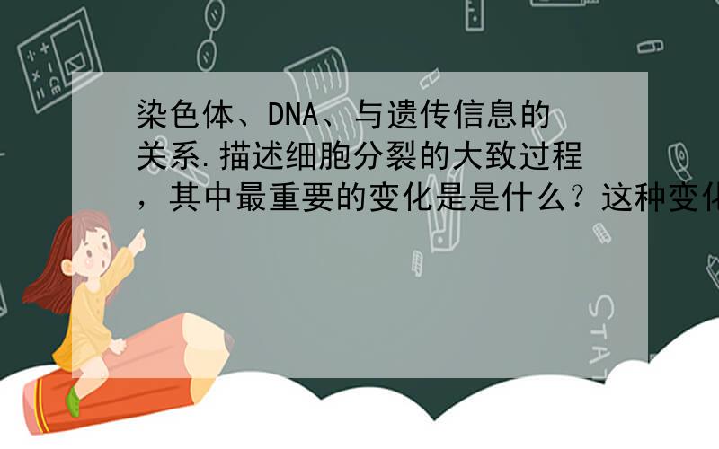 染色体、DNA、与遗传信息的关系.描述细胞分裂的大致过程，其中最重要的变化是是什么？这种变化有什么意义？