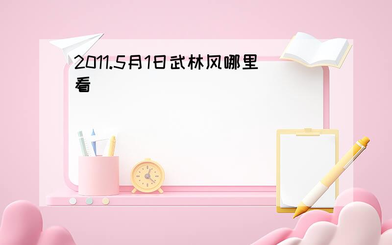 2011.5月1日武林风哪里看