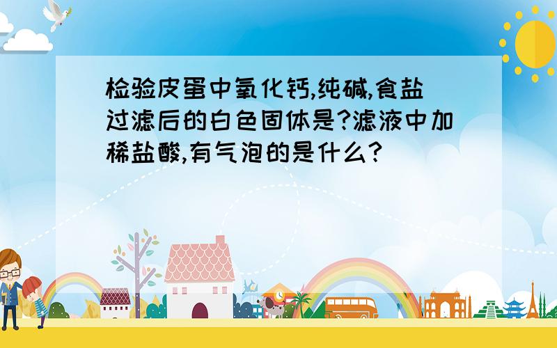 检验皮蛋中氧化钙,纯碱,食盐过滤后的白色固体是?滤液中加稀盐酸,有气泡的是什么?