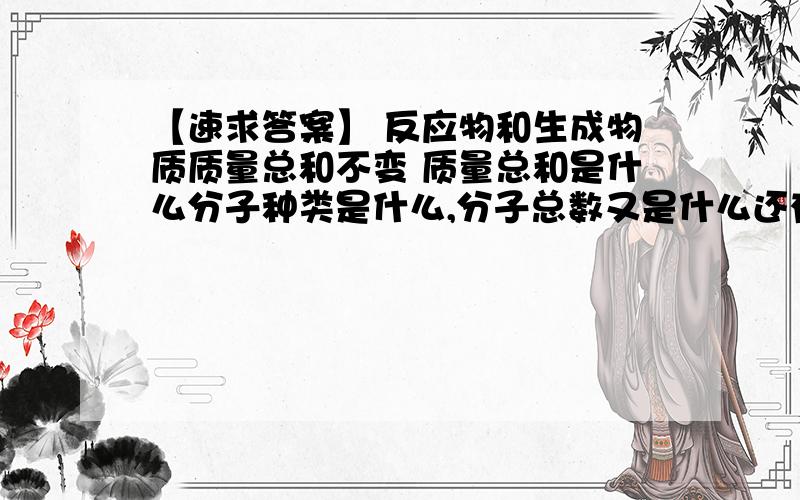 【速求答案】 反应物和生成物质质量总和不变 质量总和是什么分子种类是什么,分子总数又是什么还有原子质量,原子数目,原子种类,元素种类这些又是什么请举例说明，