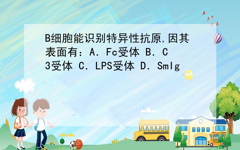 B细胞能识别特异性抗原,因其表面有：A．Fc受体 B．C3受体 C．LPS受体 D．SmIg