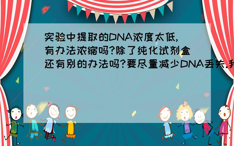 实验中提取的DNA浓度太低,有办法浓缩吗?除了纯化试剂盒还有别的办法吗?要尽量减少DNA丢失.我的DNA已经提纯好了，纯度也够，就是DNA量少，液体多，浓度太低，凝胶电泳似乎不合适吧；DNA浓