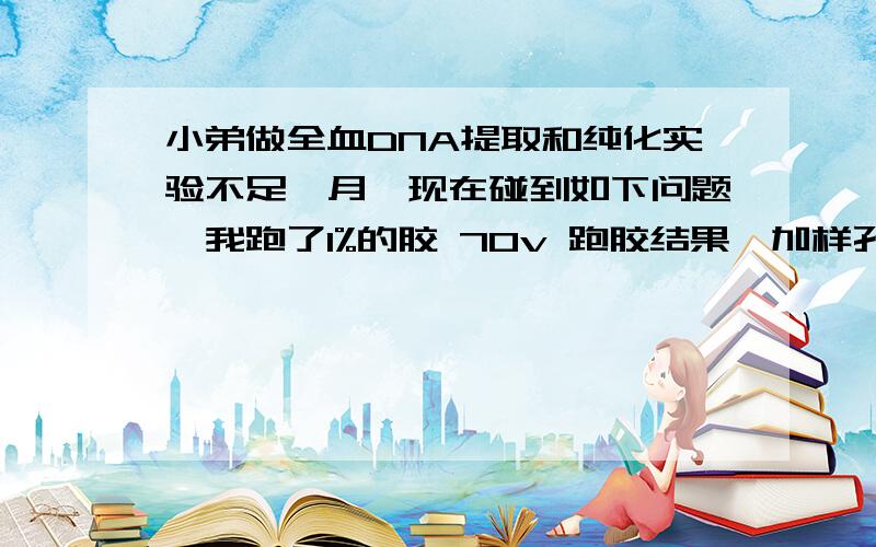 小弟做全血DNA提取和纯化实验不足一月,现在碰到如下问题,我跑了1%的胶 70v 跑胶结果,加样孔无亮点 无拖尾等现象但是用紫外分光光度计测A260=-0.073 A280=-0.04 两者比值为1.845 Conc（浓度）=-3.6520