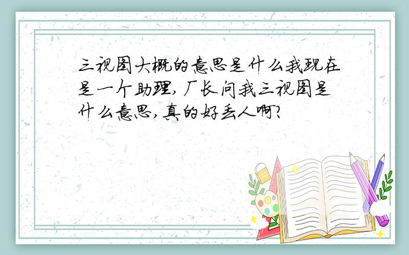 三视图大概的意思是什么我现在是一个助理,厂长问我三视图是什么意思,真的好丢人啊?