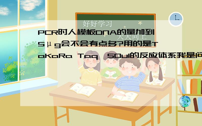 PCR时人模板DNA的量加到5μg会不会有点多?用的是TaKaRa Taq,50ul的反应体系我是问会不会太多，听人说模板太多了对PCR反应也会有影响