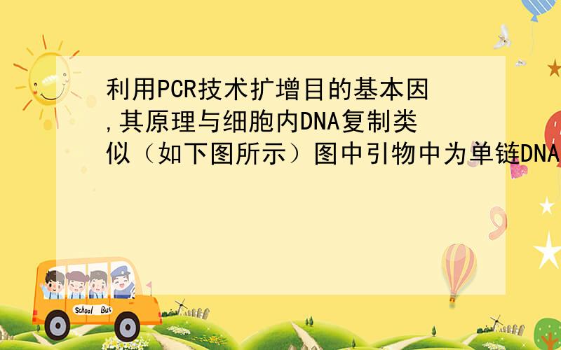 利用PCR技术扩增目的基本因,其原理与细胞内DNA复制类似（如下图所示）图中引物中为单链DNA片段,它是子链合成延伸的基础.从理论上推测,第四轮循环产物中含有引物A的DNA片段所占比例为