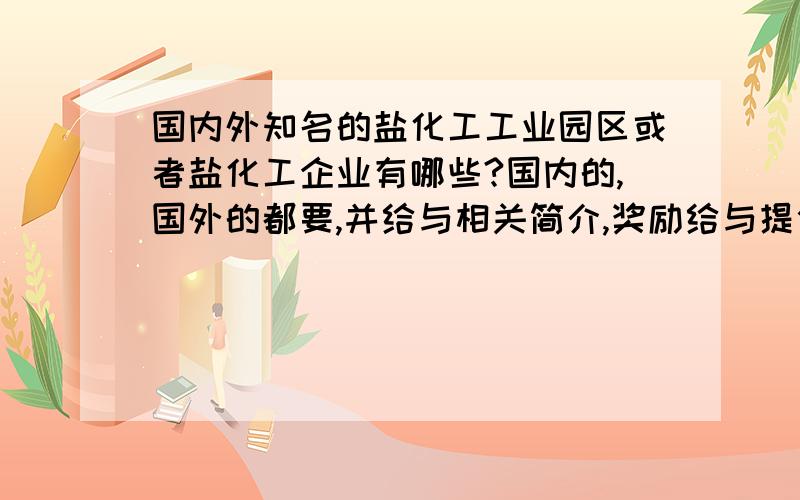 国内外知名的盐化工工业园区或者盐化工企业有哪些?国内的,国外的都要,并给与相关简介,奖励给与提供最多的回答者.